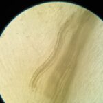 20241201_190203 (1)