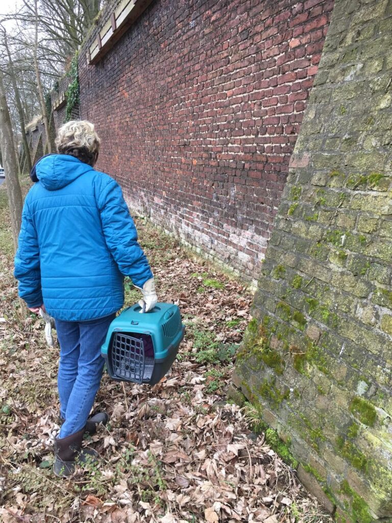 Astrid beim LVR
