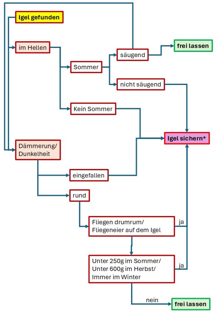 Entscheidungsprozess hochformat